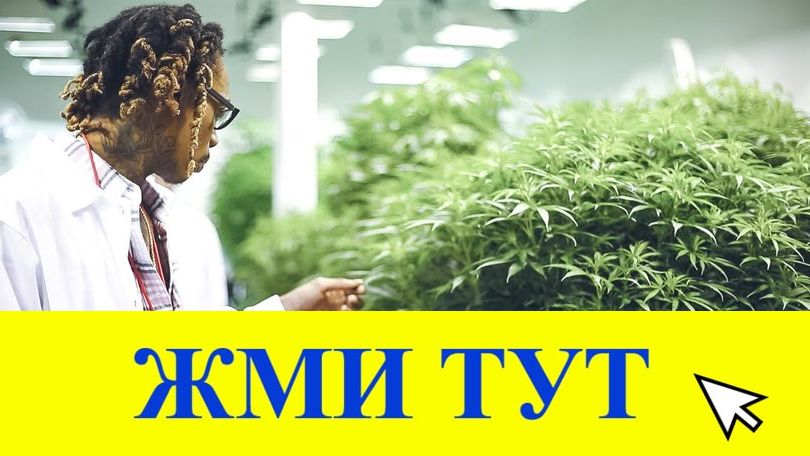 Купить наркотики в Вяземском